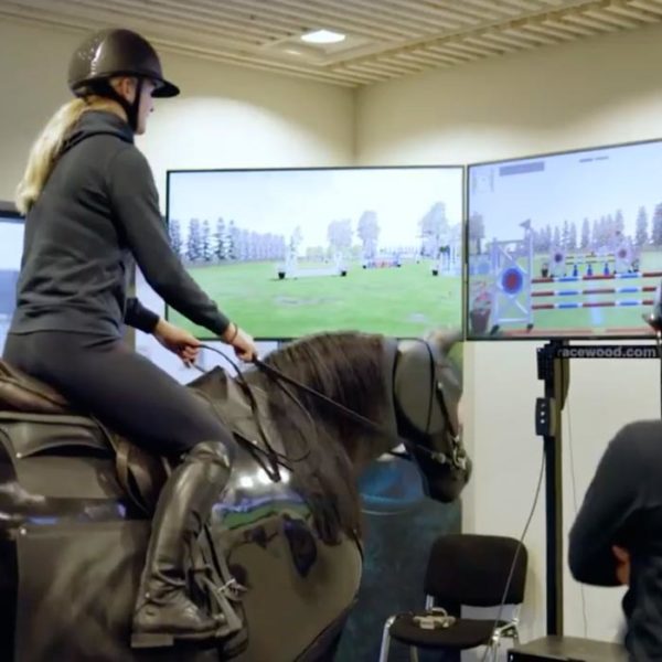 Ridsimulator